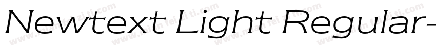Newtext Light Regular字体转换